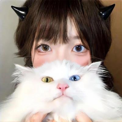 密室大逃脱第六季